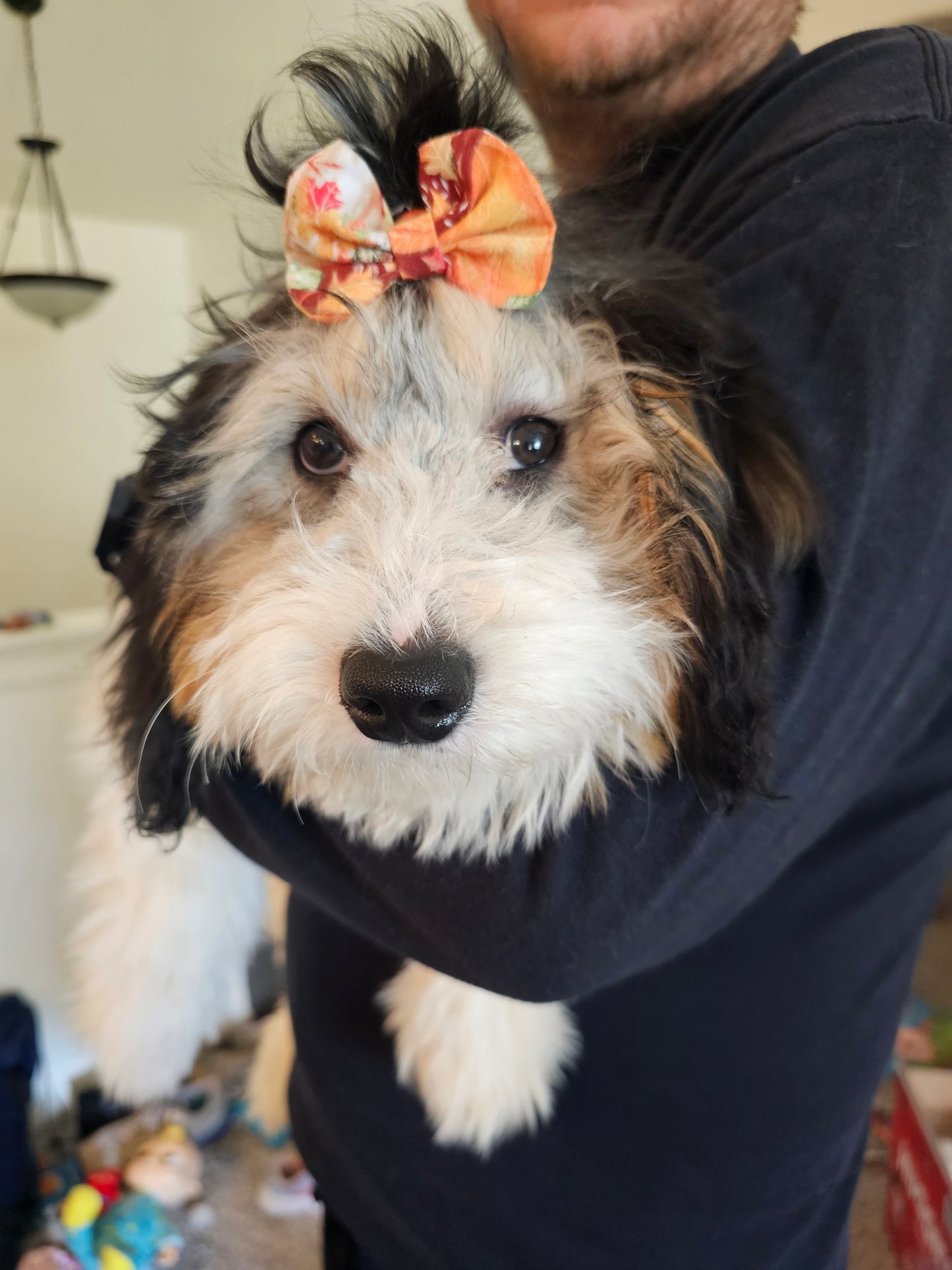 Assorted Handcrafted Dog Hair Bows – Small Dog Grooming Bows – Puppy Hair Accessories – Pet Bow Set – Dog Top Knot Bows – Bulk Pack