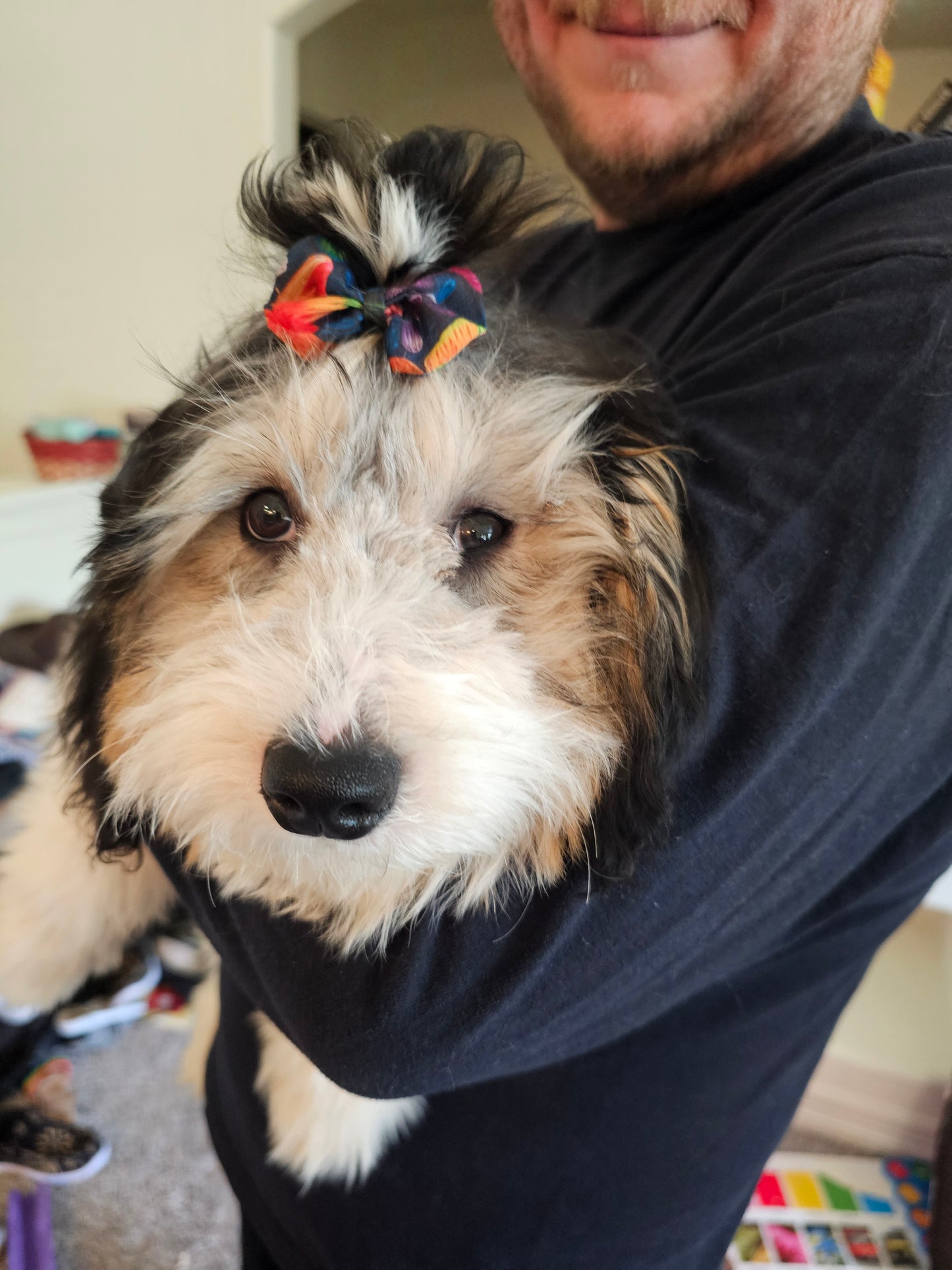 Assorted Handcrafted Dog Hair Bows – Small Dog Grooming Bows – Puppy Hair Accessories – Pet Bow Set – Dog Top Knot Bows – Bulk Pack