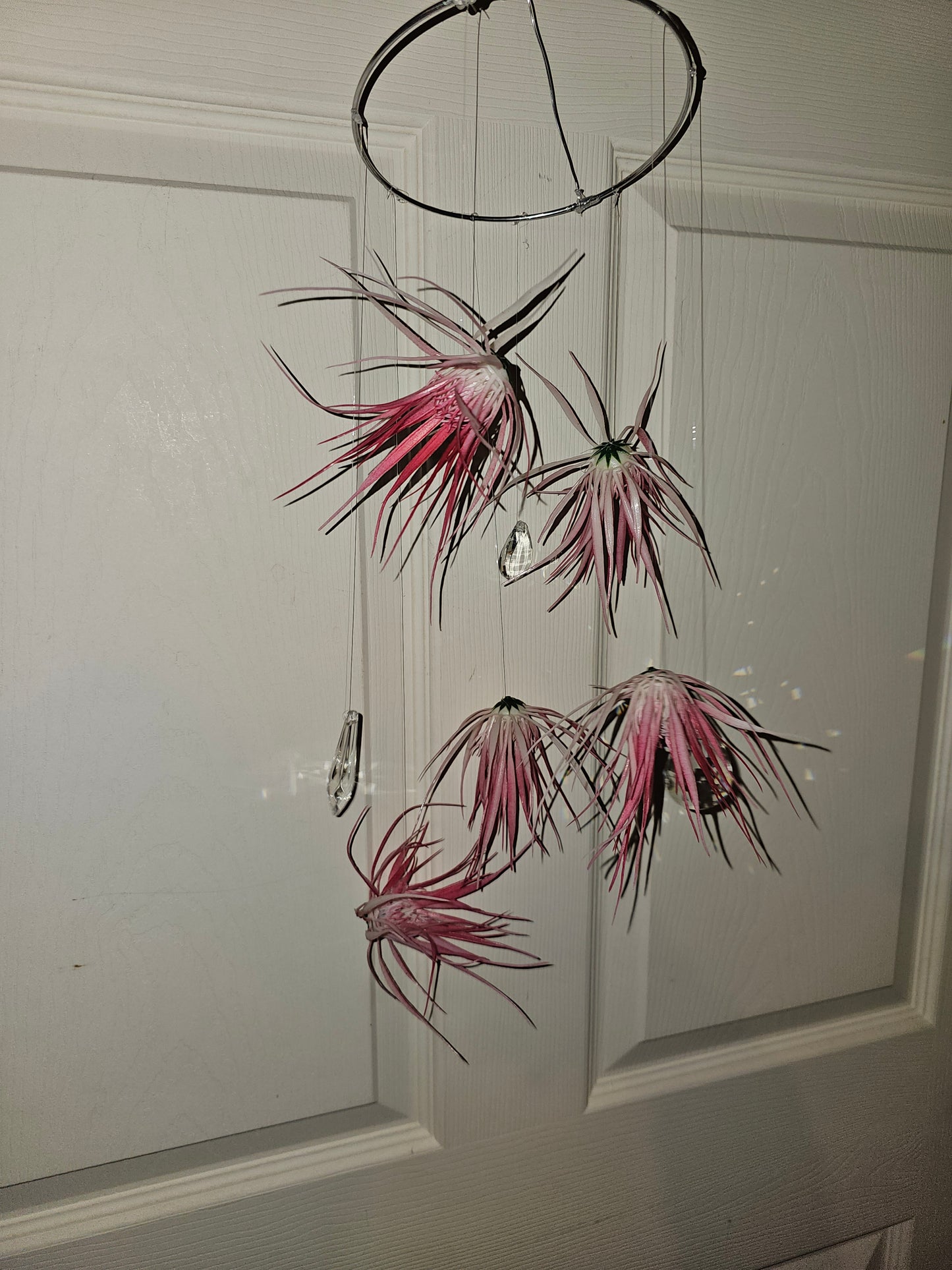 Pink Air Plant Crystal Suncatcher Mobile
