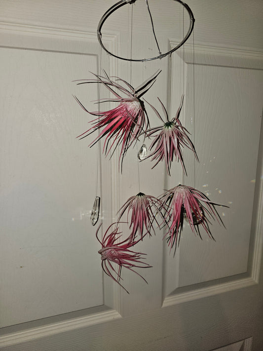 Pink Air Plant Crystal Suncatcher Mobile